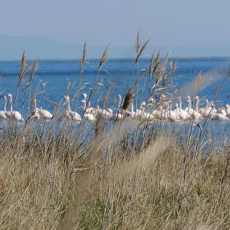 Poesia Bed & Breakfast Lesina