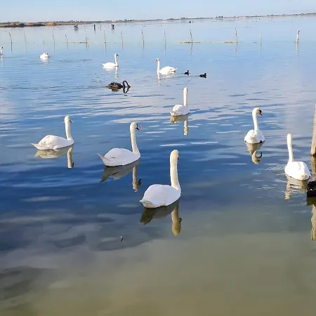 Poesia Frühstückspension Lesina